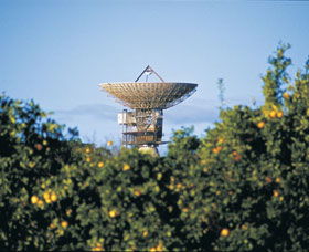 Big Dish - Stayed 0