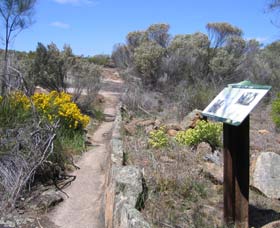 Christmas Rock Walk - Stays Accommodation 0