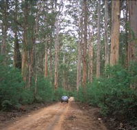 Boranup Drive - Stayed