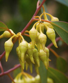 Mount Short Scenic Drive - Stayed 0