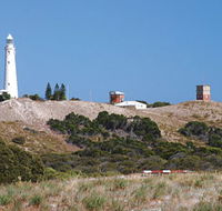 Wadjemup Lighthouse - Stayed