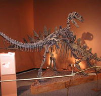 Denmark Dinosaur World - Stayed