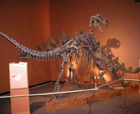 Denmark Dinosaur World - Stayed 0