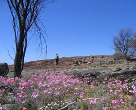 Talgomine Reserve - Stayed 0