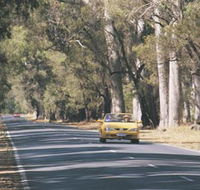 Ludlow Tuart Forest - Stayed