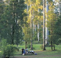 Big Brook Arboretum - Stayed