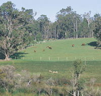 Scenic Drives - Bunbury Collie Donnybrook - Stayed
