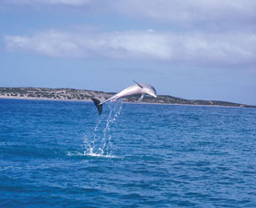 Steep Point - Stayed 0