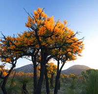 Cape Le Grand National Park - Stayed