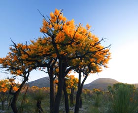 Cape Le Grand National Park - Stayed 0