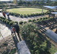 Kojonup Rose Maze - Stayed
