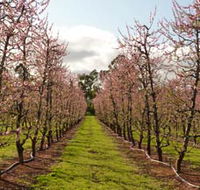 Raeburn Orchards - Stayed
