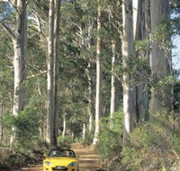 Mount Shadforth Scenic Drive - Stayed