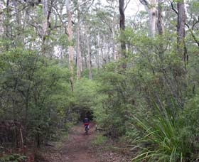 Margaret River Rails Trail - Stayed 0