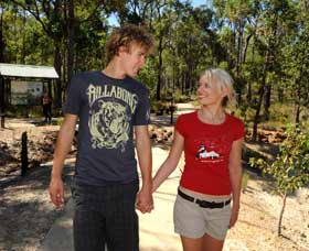 Crooked Brook Forest - Stayed 0