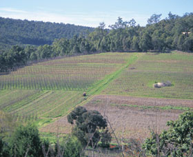 Darling Range - Stayed 0