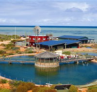 Ocean Park Aquarium - Stayed