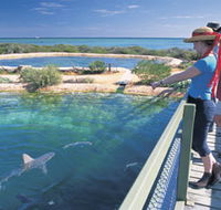 Shark Bay Marine Park - Stayed