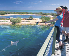 Shark Bay Marine Park - Stayed 0