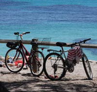 Parker Point Marine Snorkel Trail - Stayed