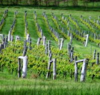 Sienna Estate Winery - Stayed