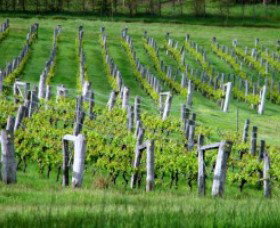 Sienna Estate Winery - Stayed 0