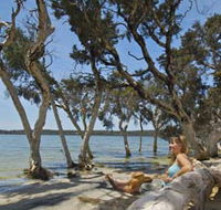 Stokes National Park - Stayed