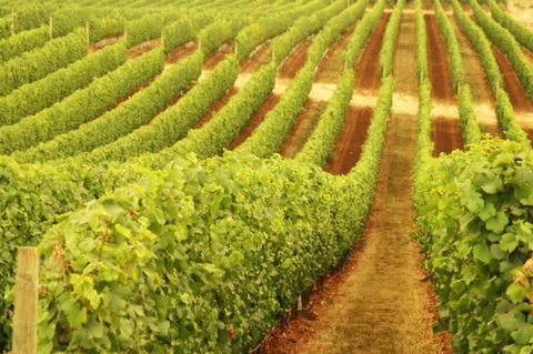 Xanadu Wines - Stayed 0