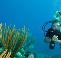 Coastal Water Dive - Stayed