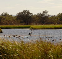 Anytime Adventures in Mandurah  the Peel Region - Stayed