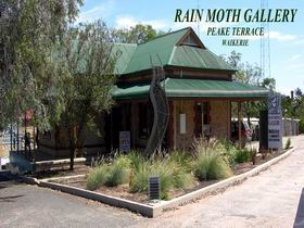 Rain Moth Gallery - Stayed 0