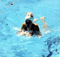 Mount Gambier Aquatic Centre - Stays Accommodation