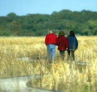 Onkaparinga River Recreation Park - Stayed