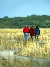 Onkaparinga River Recreation Park - Stayed 0