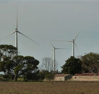 Wattle Point Wind Farm - Stayed