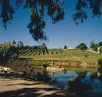 Mount Hurtle Winery home of Geoff Merrill Wines - Stayed