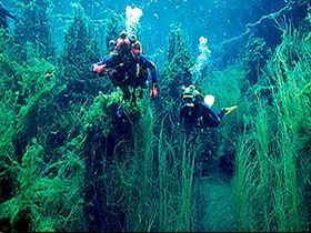 Ewens Ponds Conservation Park - Stayed 0