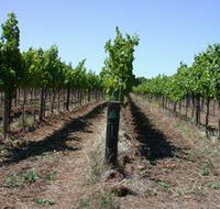 Temple Bruer Winery - Stayed