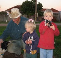 Orrie Cowie Merino and Poll Merino Stud - Stayed