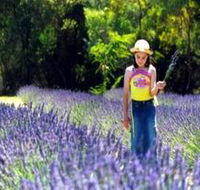 Brayfield Park Lavender Farm - Stayed