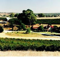 Irvine Wines - Stays Accommodation