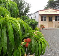 Gully Gardens - Stays Accommodation