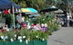 Meadows Monthly Market - thumb 0