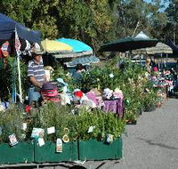 Meadows Monthly Market - Stayed