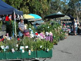 Meadows Monthly Market - Stayed 0