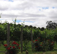 Manyara Vineyard - Stayed