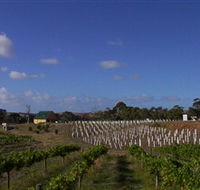 Deep Creek Wines and Alpacas - Stayed