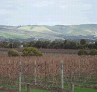 Mclaren Vale Premium Wines - Stayed