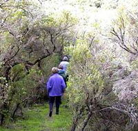 Jack And Hilda McArthur Walk - Stayed
