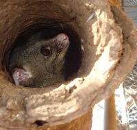 Mulga Sanctuary and Wildlife Park - Stayed